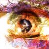Inward Inertia Cover #2
