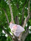Nick at Mt. Pollucks, Amherst