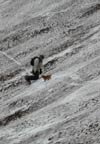Nick being rescued by Lily at Tuckerman's Ravine