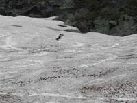 Nick snowboarding down Tuckerman's Ravine, late spring