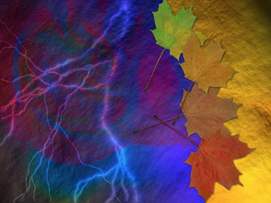 Nature's Colors - One of Nick's Favorite  Digitally Enhanced Artwork