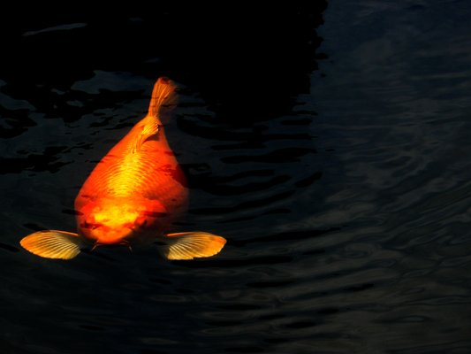 Alone in the Square - A Favorite Photo by Nick