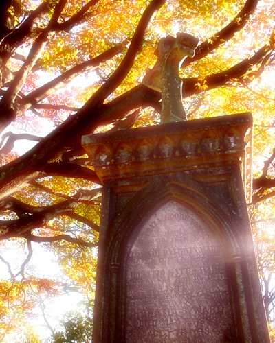 Ullalume - A Favorite Photo by Nick