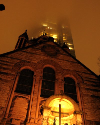 Reaching Toward the Heavens  - A Favorite Photo by Nick