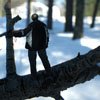My Bonsai Life - On The Road - Snow Survey