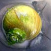 Uber Snail, Crane Beach