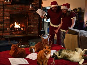 2018 Xmas Card Front