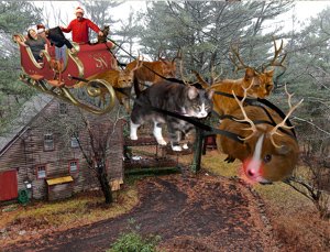 2019 Xmas Card Front
